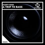 Artwork for "A Trip To Bass"