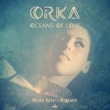 Artwork voor "Oceans of Love"