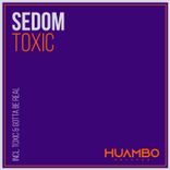 Artwork voor "Toxic"