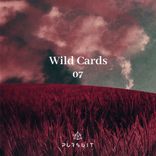Artwork for "Wild Cards 07"