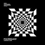 Portada para "Poltergaist"