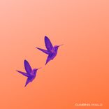 Artwork for "Climbing Walls"