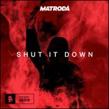 Artwork voor "Shut It Down"