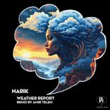 Portada para "Weather Report"