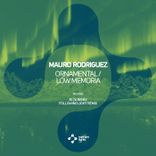 Artwork for "Ornamental"