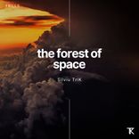 Artwork for "The forest of Space"