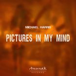 Artwork voor "Pictures In My Mind"