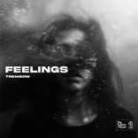 Feelings