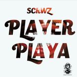 Artwork für "Player Playa"