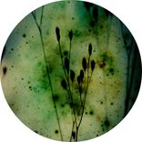 Artwork voor "Concept Of Parallel Dimension EP"