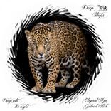 Portada para "Deep Into The Night"