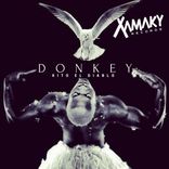 Artwork for "Donkey"