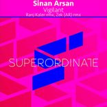 Artwork for "Vigilant"