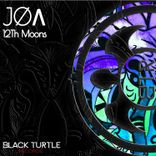 Artwork for "12Th Moons"