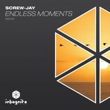 Artwork voor "Endless Moments"