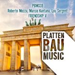 Portada para "Friendship V"