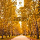 Artwork für "Golden Valley Street"