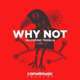 Artwork for "Why Not"