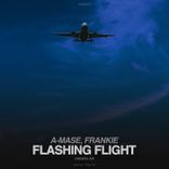 Flashing Flight