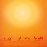 Artwork für "Ilumina"