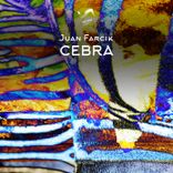 Artwork for "Cebra"