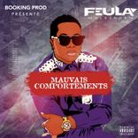 Portada para "Mauvais comportements"