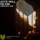 Artwork for "On Fire"