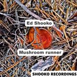 Artwork for "Mushroom Runner"