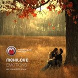 Artwork for "Emotions"