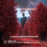 Artwork voor "Resurrection"