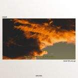 Artwork für "Never Let You Go"