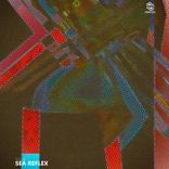 Artwork for "Sea Reflex, Vol. 8"