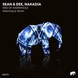 Portada para "End of Wormhole (Spartaque Remix)"