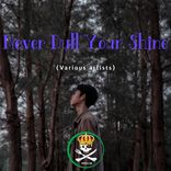 Artwork voor "Never Dull Your Shine"