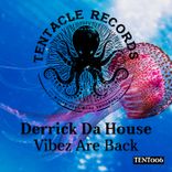 Portada para "Vibez Are Back"