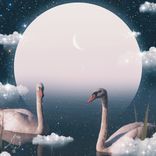 Artwork voor "The Pond People"