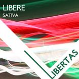 Artwork voor "Sativa"