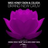 Artwork for "Brand New Groove"