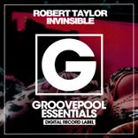 Artwork for "Invinsible"