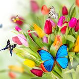 Portada para "Moments"