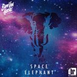 Artwork voor "Space Elephant"