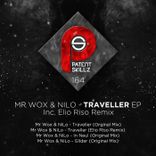 Artwork for "Traveller"