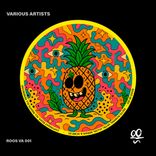 Artwork for "ROOS VA"