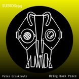 Artwork für "Bring Back Peace"