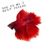 Artwork für "She Is My Best Friend :)"