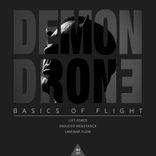 Artwork for "Basics of Flight"
