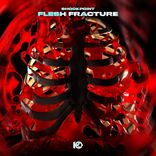 Artwork for "Flesh Fracture"