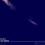 Portada para "Life Groove"