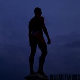 Speed Of An Immobility