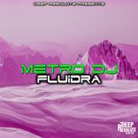Artwork for "Fluidra"